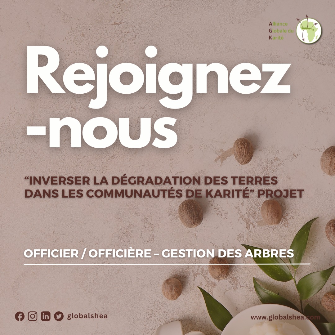 Officier / Officière – Gestion des arbres